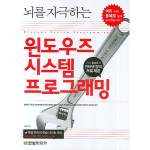 뇌를 자극하는 윈도우즈 시스템 프로그래밍, 윤성우 저, 한빛미디어