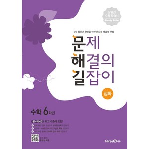문제 해결의 길잡이: 심화, 수학, 초등 6학년