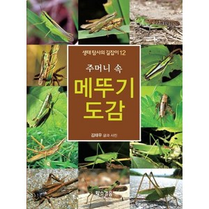 주머니 속 메뚜기 도감: 생태 탐사의 길잡이 12, 황소걸음, 김태우