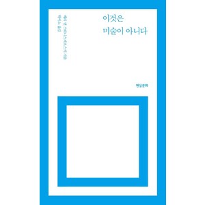 이것은 미술이 아니다, 메리 앤 스타니스제프스키, 현실문화연구