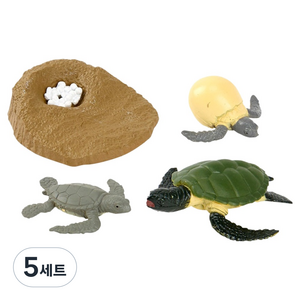 캐스비 네이처 성장과정 피규어 거북이 세트, 5세트