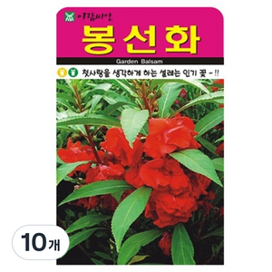 아람씨앗 봉선화 꽃 씨앗 500p, 10개
