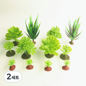 비투윈 나약성 나무화분 가구 세트, 다육4, 2세트