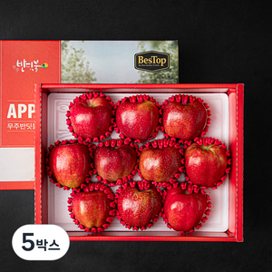 무주반딧불 사과 선물세트 10입, 3kg, 5박스