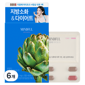 푸드올로지 마인드풀 지중해 아티초크 800mg, 16g, 6개