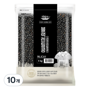 더담은 미국산 블랙렌틸콩 검정렌틸콩, 1kg, 10개