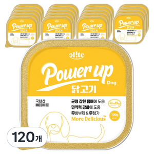 엘릿 강아지 파워업 주식 사각캔, 100g, 닭, 120개