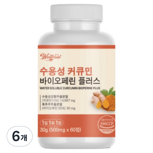 웰트릿 수용성 커큐민 바이오페린 플러스, 6개, 60정
