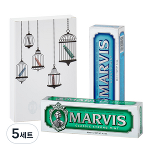 마비스 민트향 치약 2종 + 케이스 세트, 170ml, 5세트