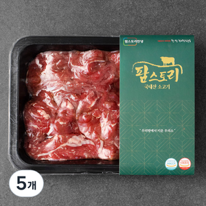팜스토리 국내산 소고기 불고기용 (냉장), 300g, 5개