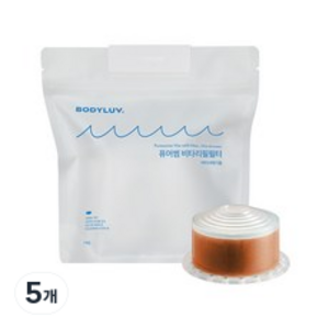 퓨어썸 비타 샤워기 리필필터, 5개, 만다린
