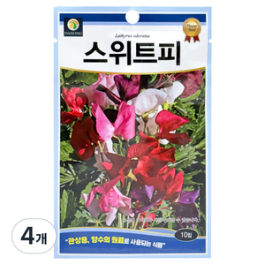 다농 스위트피 씨앗 10p, 4개