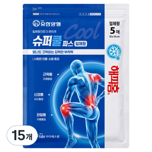 해피홈 슈퍼쿨파스 일체형, 15개, 5개입