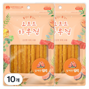 네츄럴랩 강아지 소프트 하루껌 간식, 연어 맛, 85g, 10개