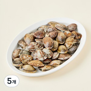 남해안 산지직송 자연산 생물 왕바지락 (냉장), 800g, 5개