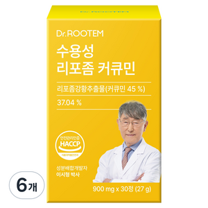 닥터루템 수용성 리포좀 커큐민 27g, 30정, 6개