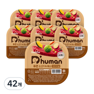 듀먼 전연령용 강아지 오리지널 화식사료, 소+채소, 100g, 42개