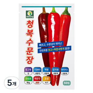 다농 청복수문장 고추 씨앗 50p, 5개