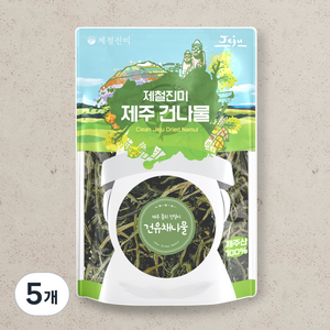 제철진미 제주산 건유채나물, 5개, 50g