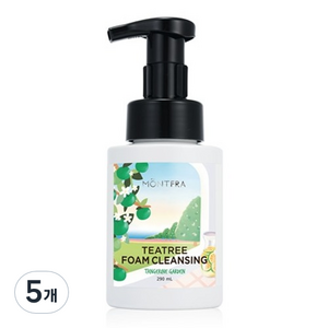몽프라 약산성 티트리 폼클렌징 탠저린가든, 5개, 290ml