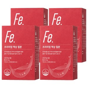 뉴트리모어 프리미엄 액상 철분, 300ml, 4개