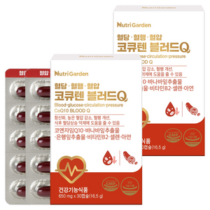 뉴트리가든 코큐텐 블러드Q 16.5g, 2개, 30정