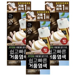 미쟝센 올뉴 쉽고 빠른 거품 새치전용 염모제, 5N갈색, 3개