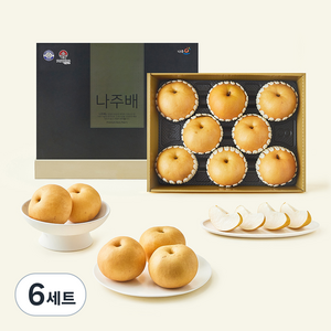 나주배원예농협 신고배 선물세트, 6.5kg(8~11입), 6세트