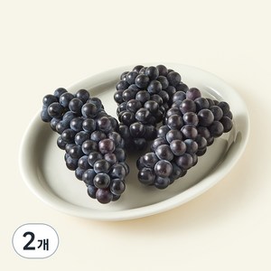유명산지 캠벨포도 2~5송이, 1kg, 2개