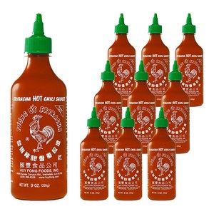 허이펑 스리라차 핫 칠리 시즈닝, 255g, 10개
