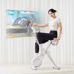 엑스바이크 노바 메타 헬스싸이클, IW-652-G9, 팬텀 골드