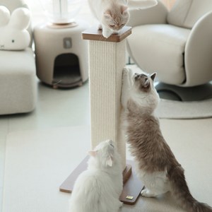 아토주 고양이 파우제 수직 스크래쳐, 아이보리, 1개