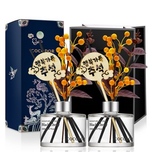 코코도르 추석 디퓨저 200ml + 쇼핑백, 2개, 블랙체리 골드박스 특가