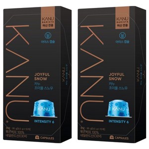 카누 바리스타 머신 전용 캡슐커피 조이풀스노우, 9.5g, 10개입, 2개