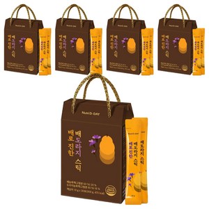 뉴트리디데이 배로 진한 배도라지 스틱 30p, 300g, 5개