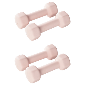 앳플리 LW 미용 아령, 2kg, 4개