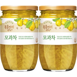 복음자리 모과차, 480g, 1개입, 2개