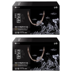 종근당 관절엔 자관원 MSM N-아세틸글루코사민 칼슘 30p, 2.1L, 2개