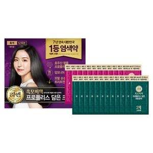 리엔 흑모비책 프로폴리스 담은 크림 염색제 새치용 12회분, 흑색, 1개