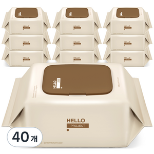 베베숲 헬로 500 물티슈 캡형, 50g, 100매, 40개