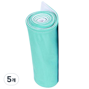 엔릿 아이스 메이트 쿨타올 더블, 에메랄드그린 + 화이트, 5개