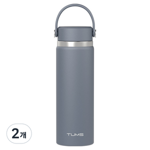 텀스 핸들 스윙 텀블러, 문라이트, 600ml, 2개