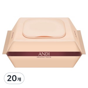 안디 저자극 도톰한 오리지널 터치 아기물티슈 캡형, 20개, 100매, 50g