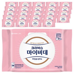 마이비데 밸런스케어 화장실용 물티슈 캡형, 55g, 40매, 25개