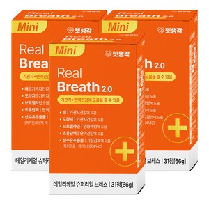 펫생각 강아지 데일리케얼 영양제, 31정, 호흡기/기관지, 3개