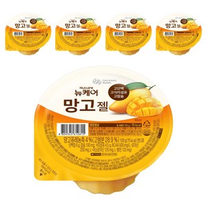 뉴케어 망고젤, 5개, 100g