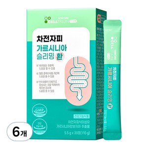 이너랩 차전자피 가르시니아 슬리밍 환, 110g, 6개