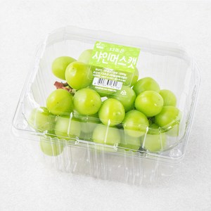 다조은 비파괴당도선별 샤인머스켓, 500g, 1팩 골드박스 특가