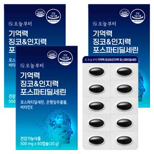 오늘부터 기억력 징코&인지력 포스파티딜세린, 60정, 3개