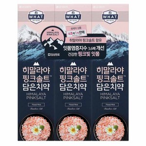 히말라야핑크솔트 담은 치약 플로럴, 100g, 3개